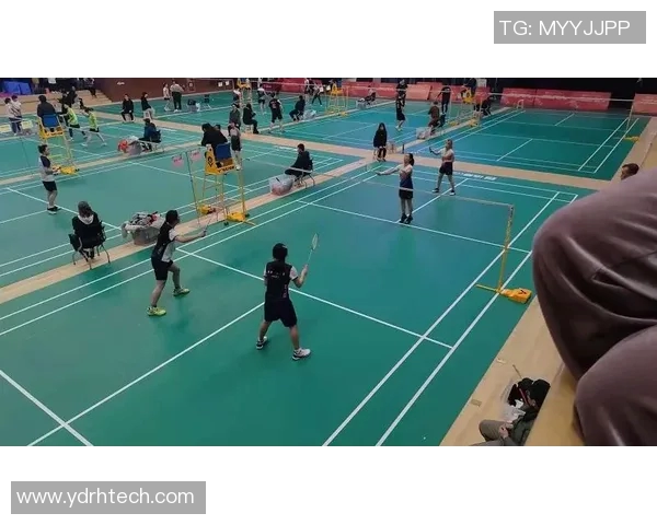 羽毛球的拼搏之路：杭州羽毛球队奋斗历程全景记录