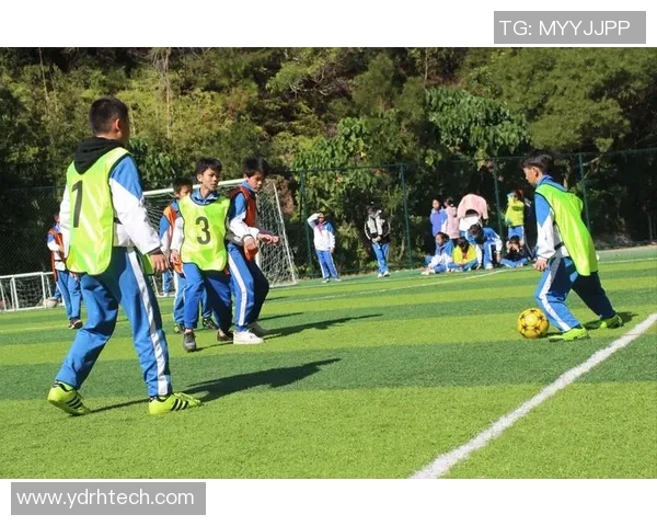 足球明星八斤瓜子背后的故事与热爱足球的奇妙旅程