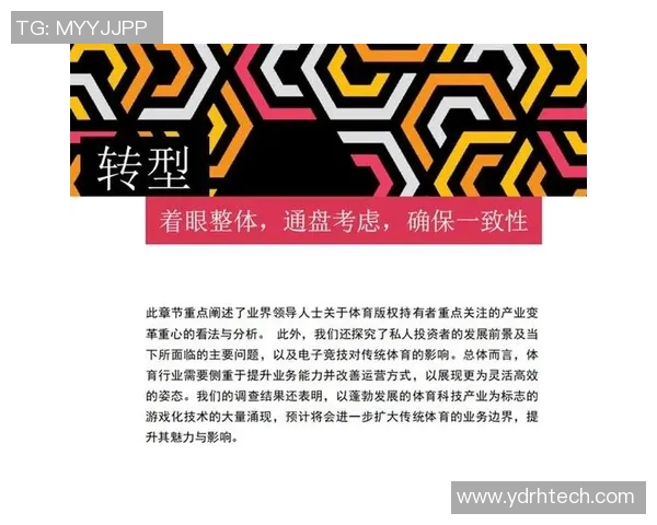 南京排球队意识对比分析：探讨团队文化与竞技表现的关系