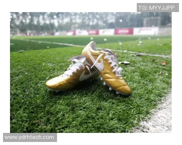 啄木鸟足球明星：探索绿茵场上的传奇与激情之旅