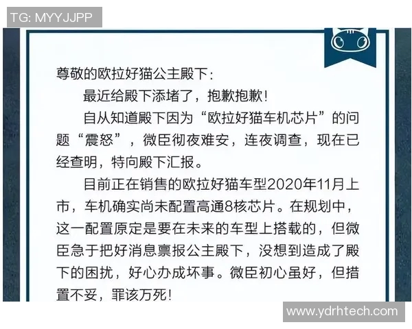 广州与深圳排球队赛后复盘分析意识碰撞与战术较量的深度解读