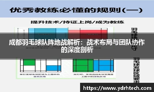 成都羽毛球队阵地战解析：战术布局与团队协作的深度剖析
